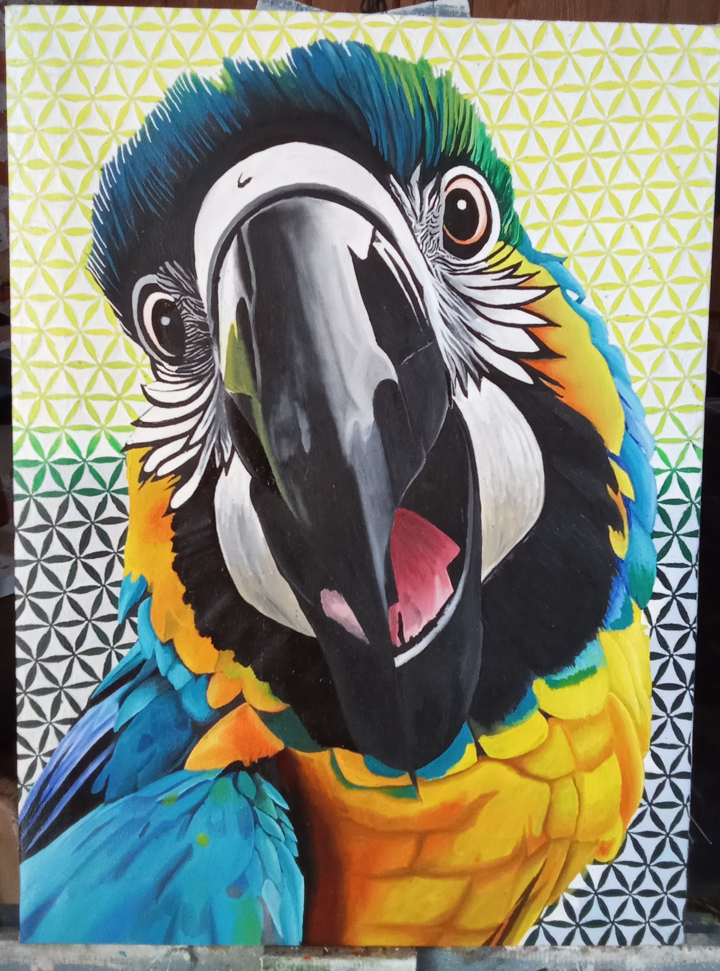 Óleo de guacamaya